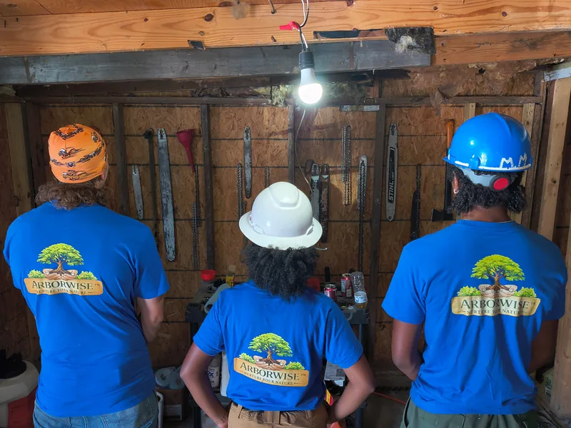 Three Arborwise crew members facing a shop wall hung with chainsaw bars and chains, Nurture Your Nature logo on the backs of their shirts
