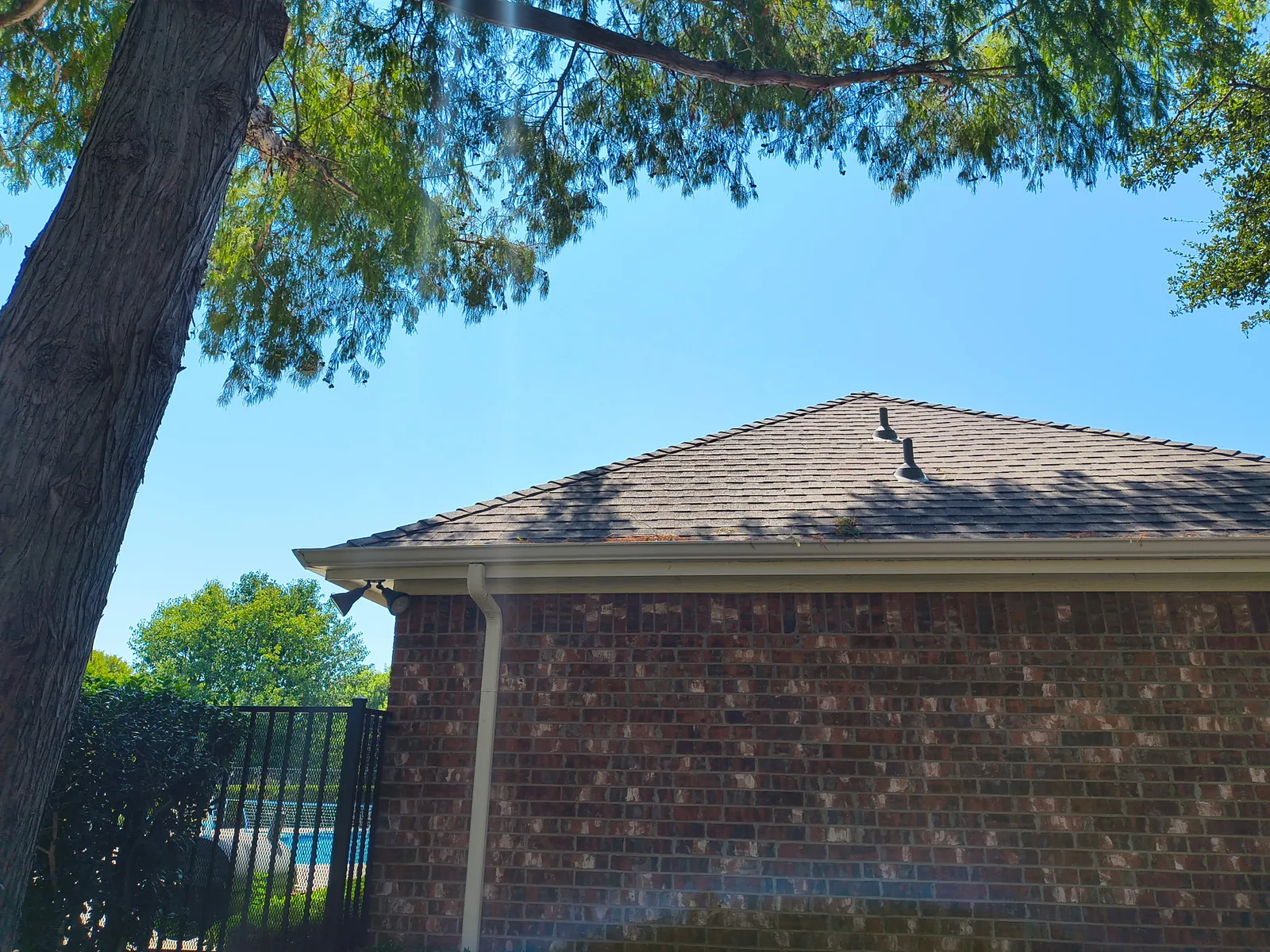 The same Plano roofline after Arborwise
              structural clearance pruning, with the
              roof edge clear and open sky above it