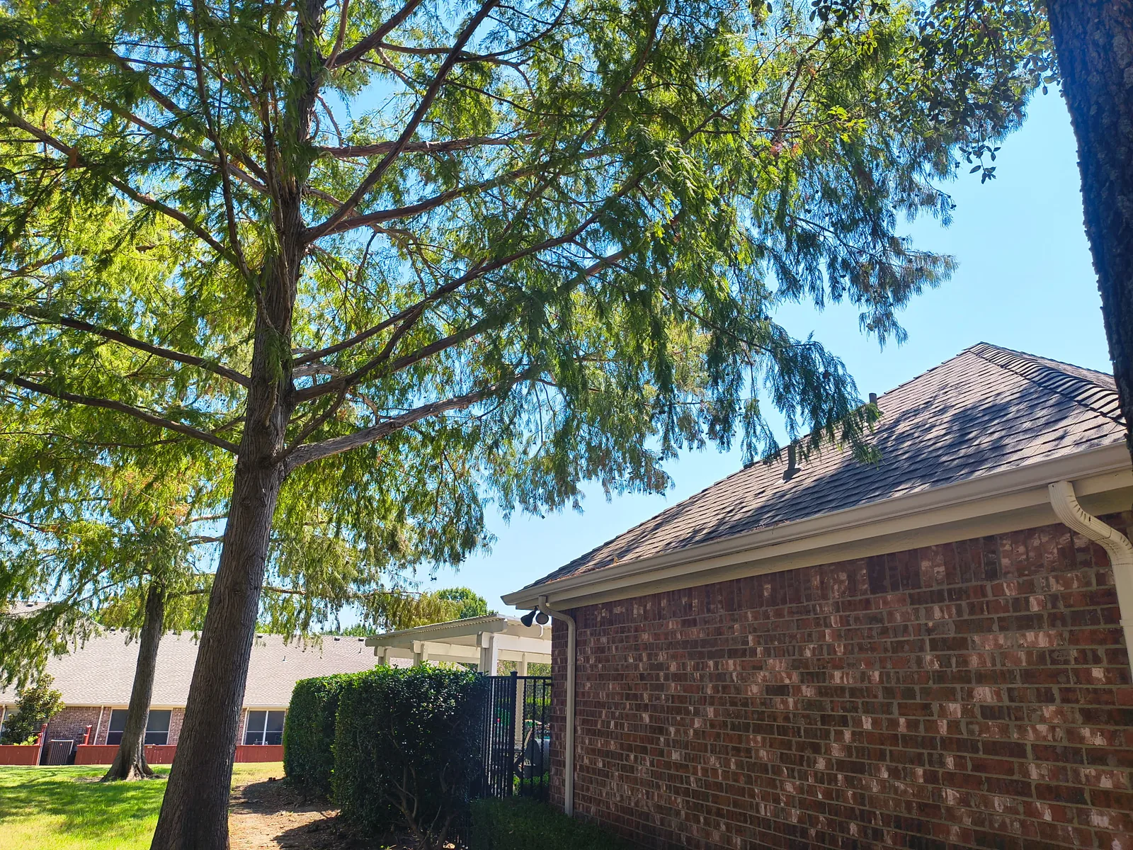 Tree limbs laid across a Plano roofline
              before Arborwise structural clearance
              pruning