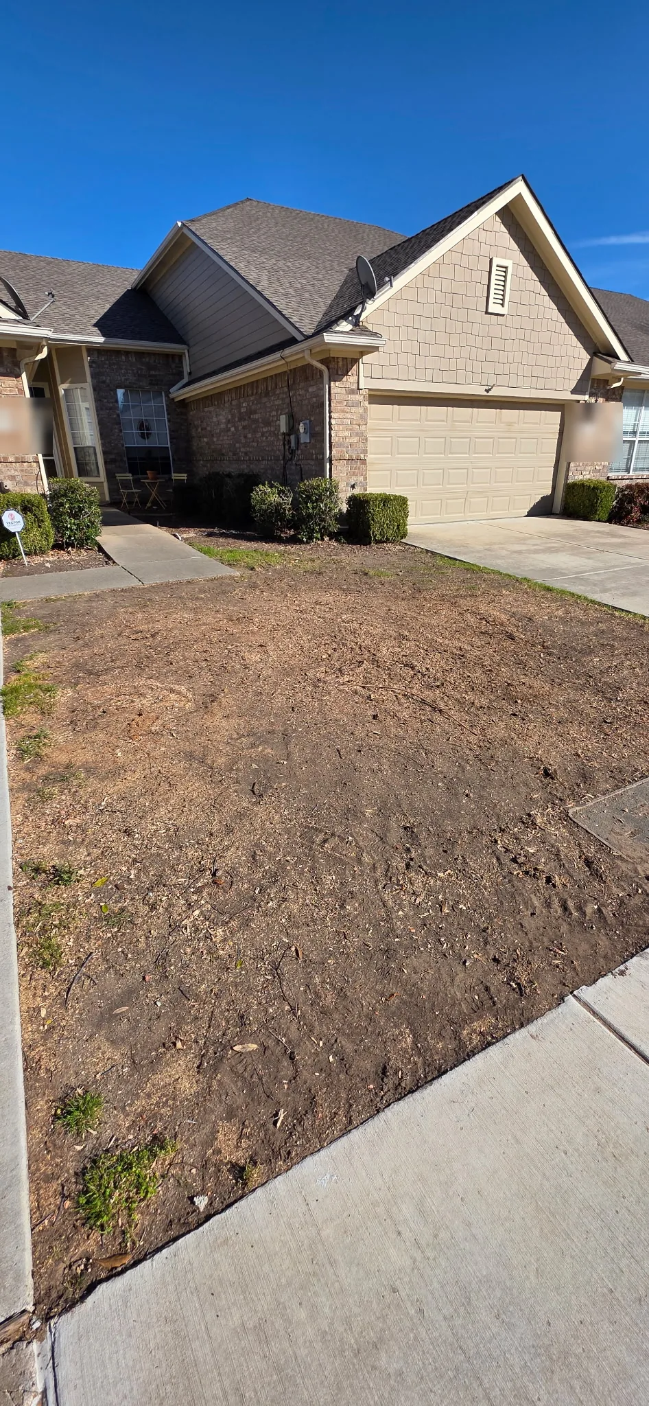 A Plano front yard the day the stump was ground out, chips and soil raked level across the whole yard
